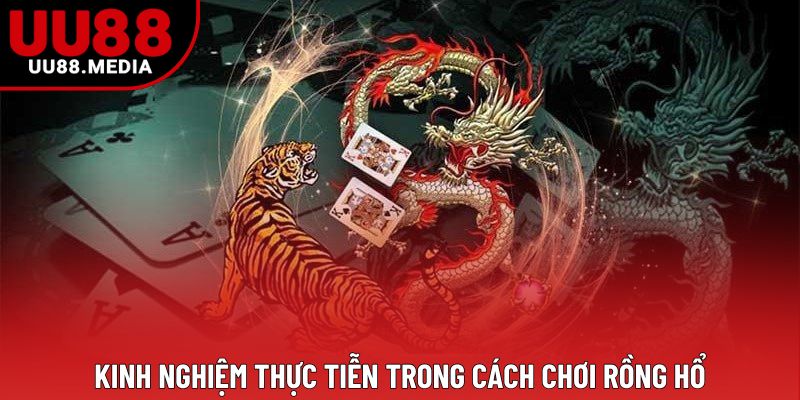 Kinh nghiệm thực tiễn trong cách chơi rồng hổ